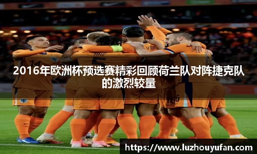 2016年欧洲杯预选赛精彩回顾荷兰队对阵捷克队的激烈较量